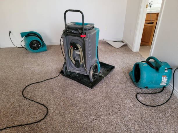 Best Basement water damage restoration  in Forest Ranch, CA