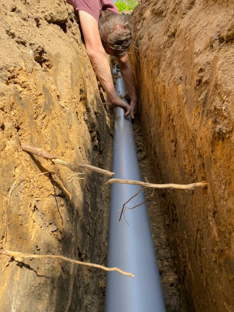 Best Flood damage cleanup  in Forest Ranch, CA