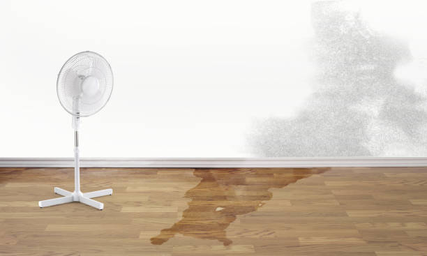  Forest Ranch, CA Water damage restoration Pros