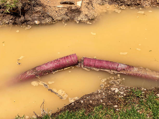 Best Water damage restoration insurance claims  in Forest Ranch, CA