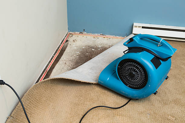 Best Commercial water damage restoration  in Forest Ranch, CA